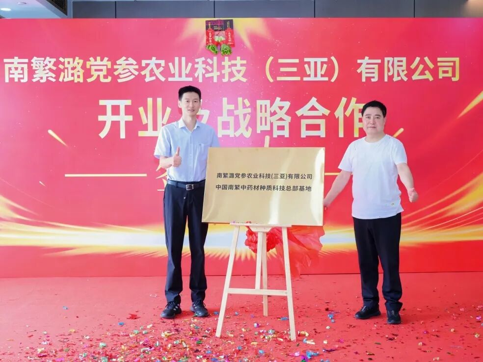 瓊晉攜手深耕道地藥材 推動南繁潞黨參產(chǎn)業(yè)落地開花